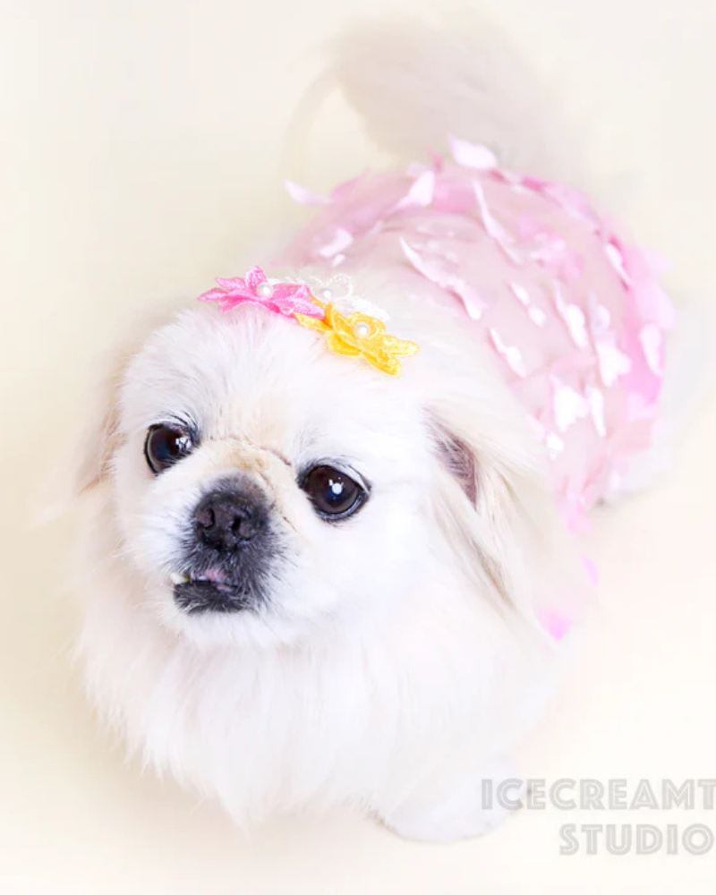 Butterfly Mesh Dog Shirt (Made in the USA) (FINAL SALE)