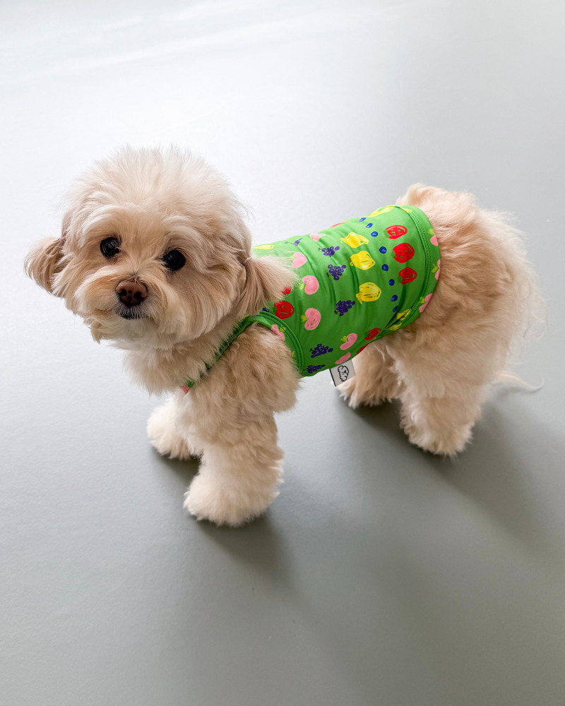 Fruit Juice Dog Cooling Tank (FINAL SALE)