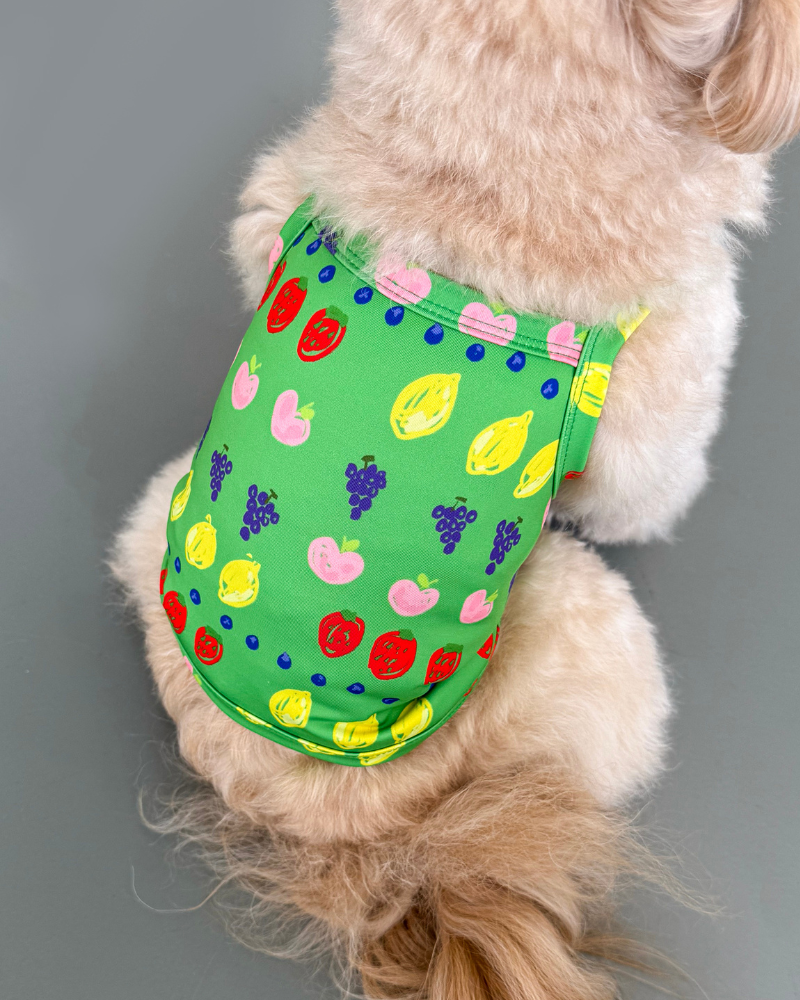 Fruit Juice Dog Cooling Tank (FINAL SALE)