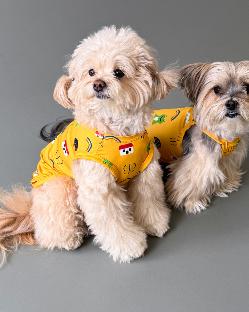 Froggy Friend Dog Cooling Tee