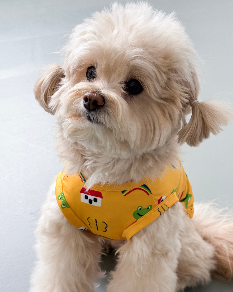 Froggy Friend Dog Cooling Tee