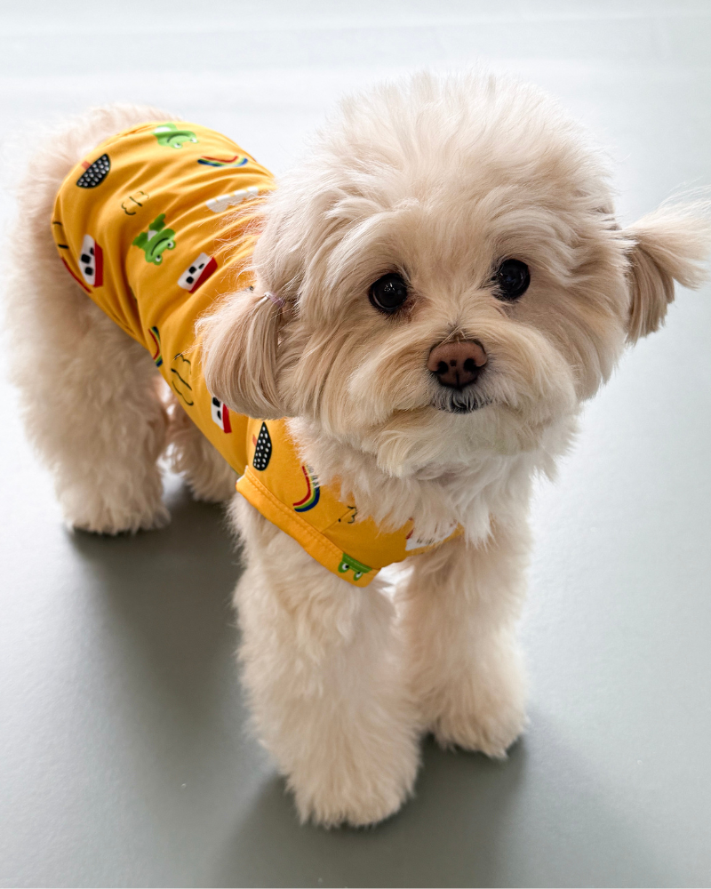 Froggy Friend Dog Cooling Tee