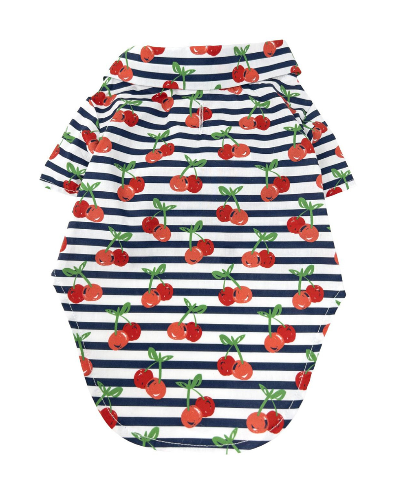Cheerful Cherries Collared Dog Shirt (FINAL SALE)