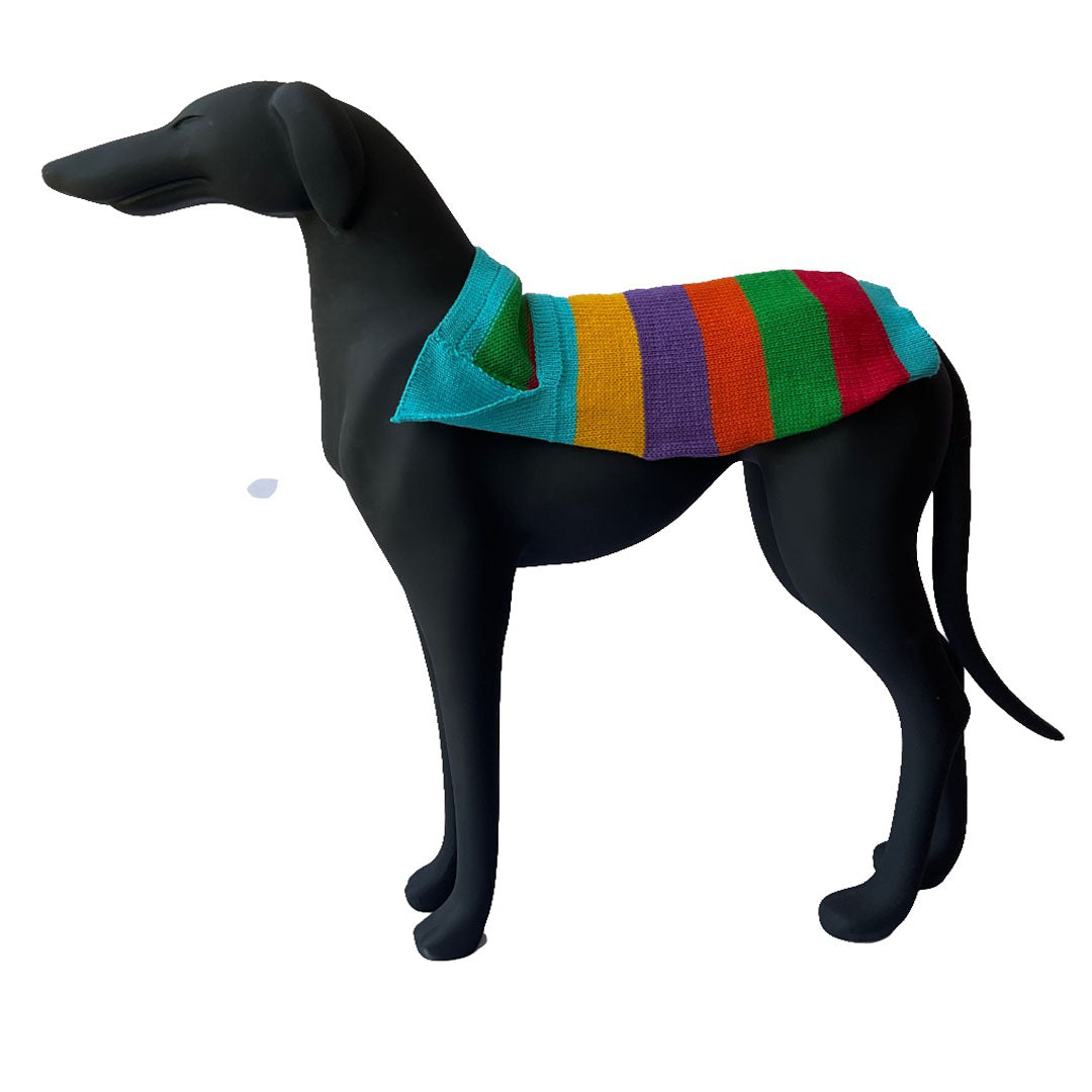 Pawsh Pure Hand-Knit 100% Wool Dog Sweater – Cozy Style for Eco-Chic Pups