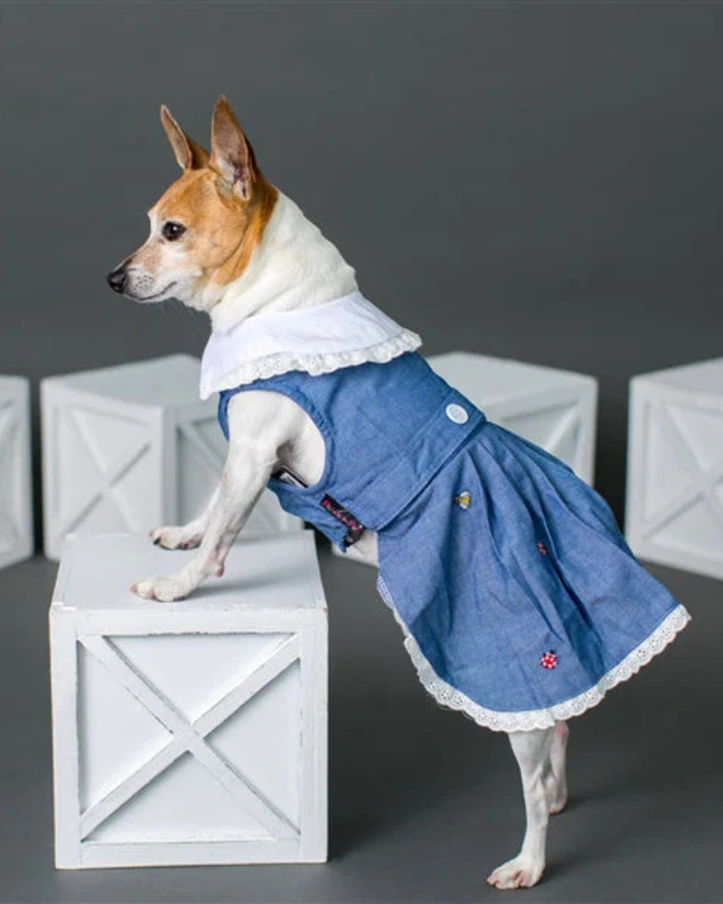 The Bugs + The Bees Chambray Dog Dress (FINAL SALE)