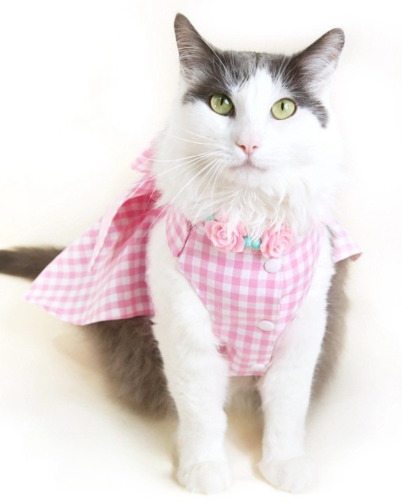 Pink Gingham Dog Dress (Made in the USA) (FINAL SALE)