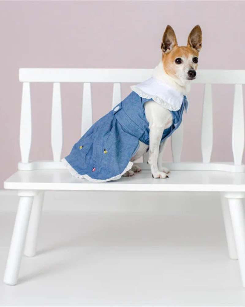 The Bugs + The Bees Chambray Dog Dress (FINAL SALE)