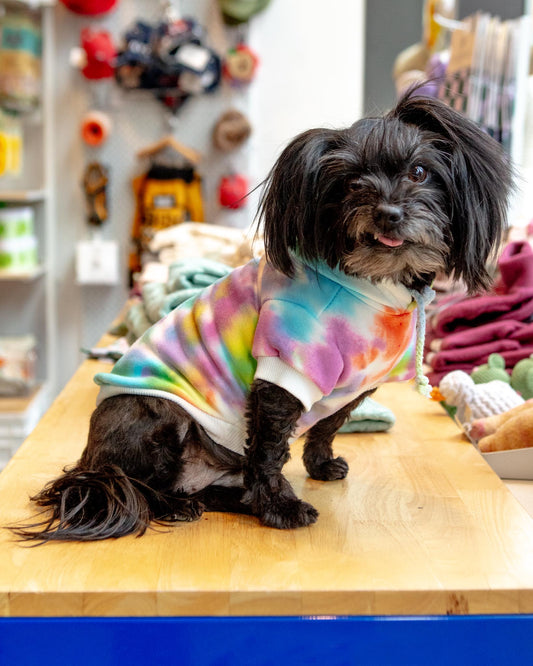 Tie Dye Dog Hoodie in Pastel Rainbow (FINAL SALE)