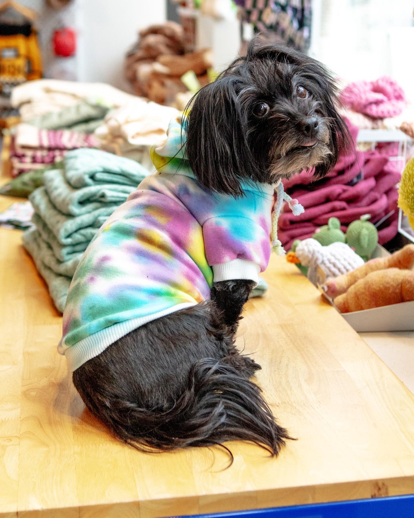 Tie Dye Dog Hoodie in Pastel Rainbow (FINAL SALE)