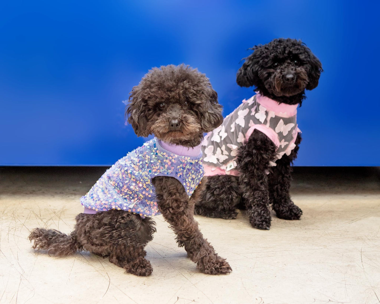 Lavender Sequin Dog Shirt (Made in the USA)