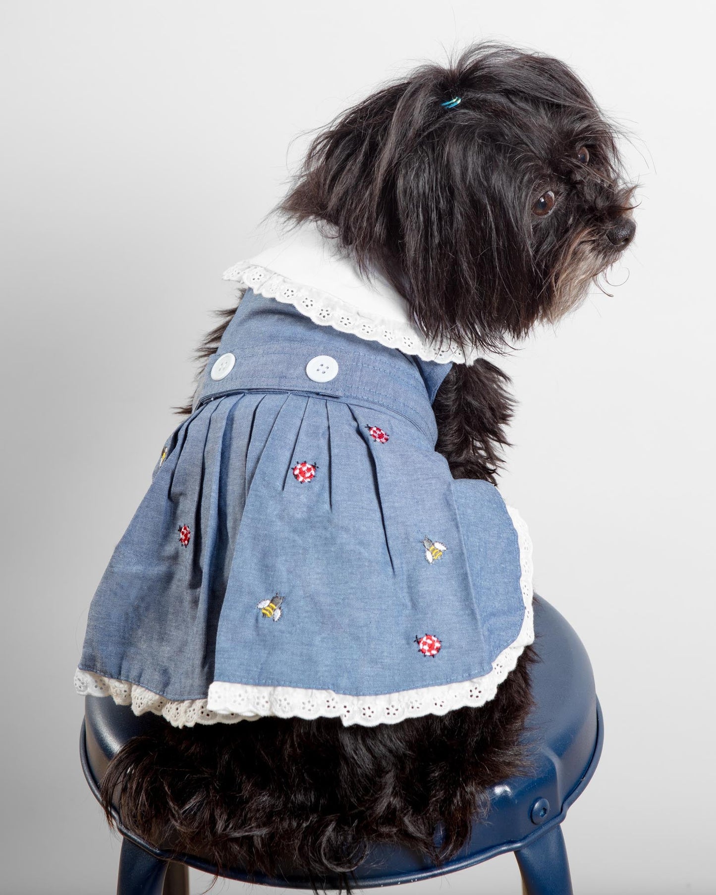 The Bugs + The Bees Chambray Dog Dress (FINAL SALE)