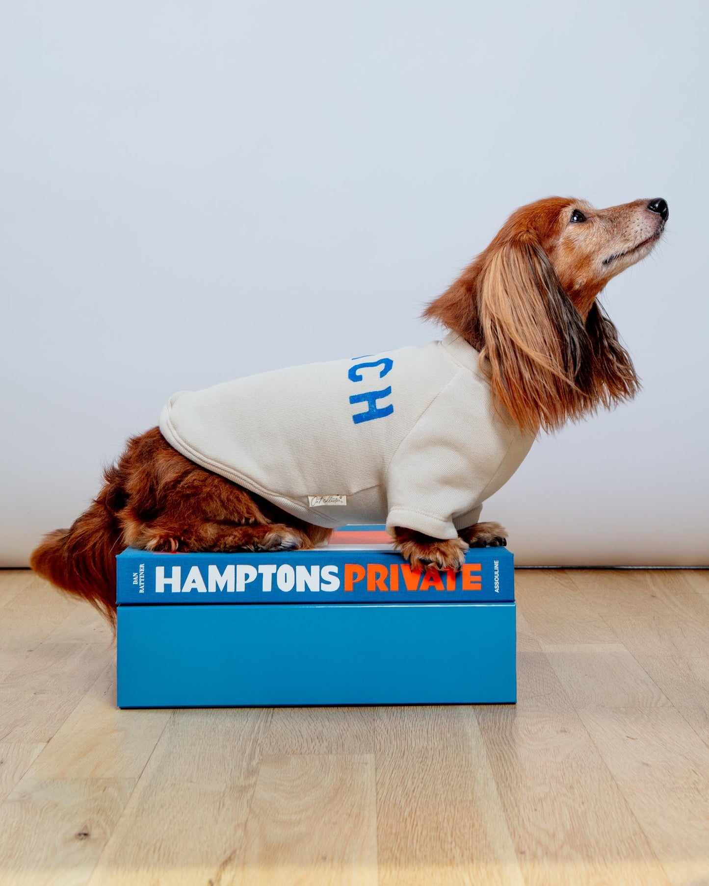 BEACH Dog Sweatshirt