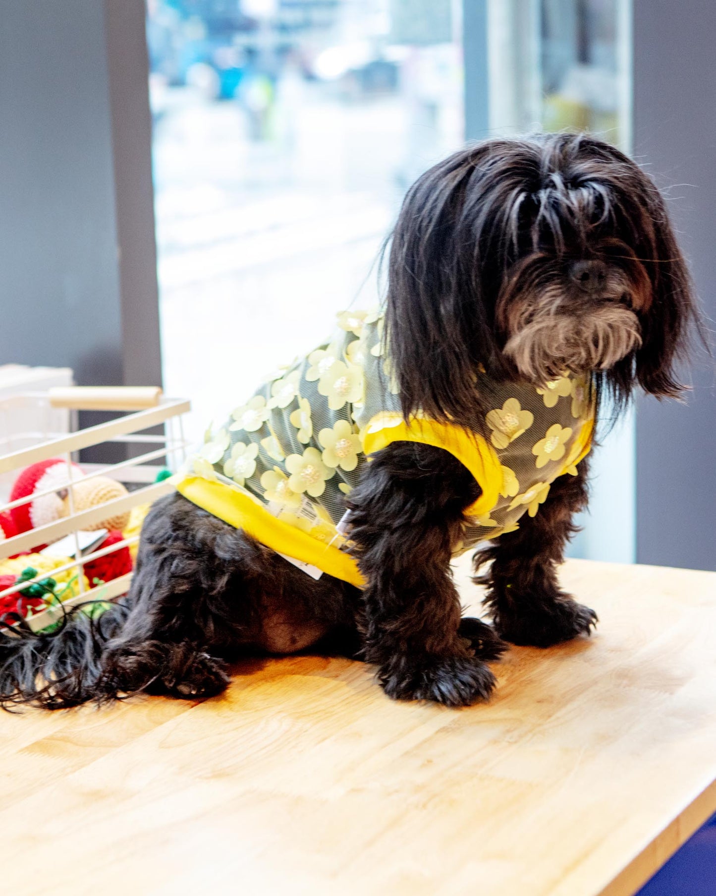 Flower Mesh Dog Shirt (Made in the USA)