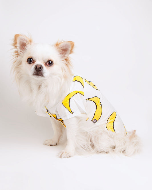 Banana Button Down Dog Shirt (FINAL SALE)