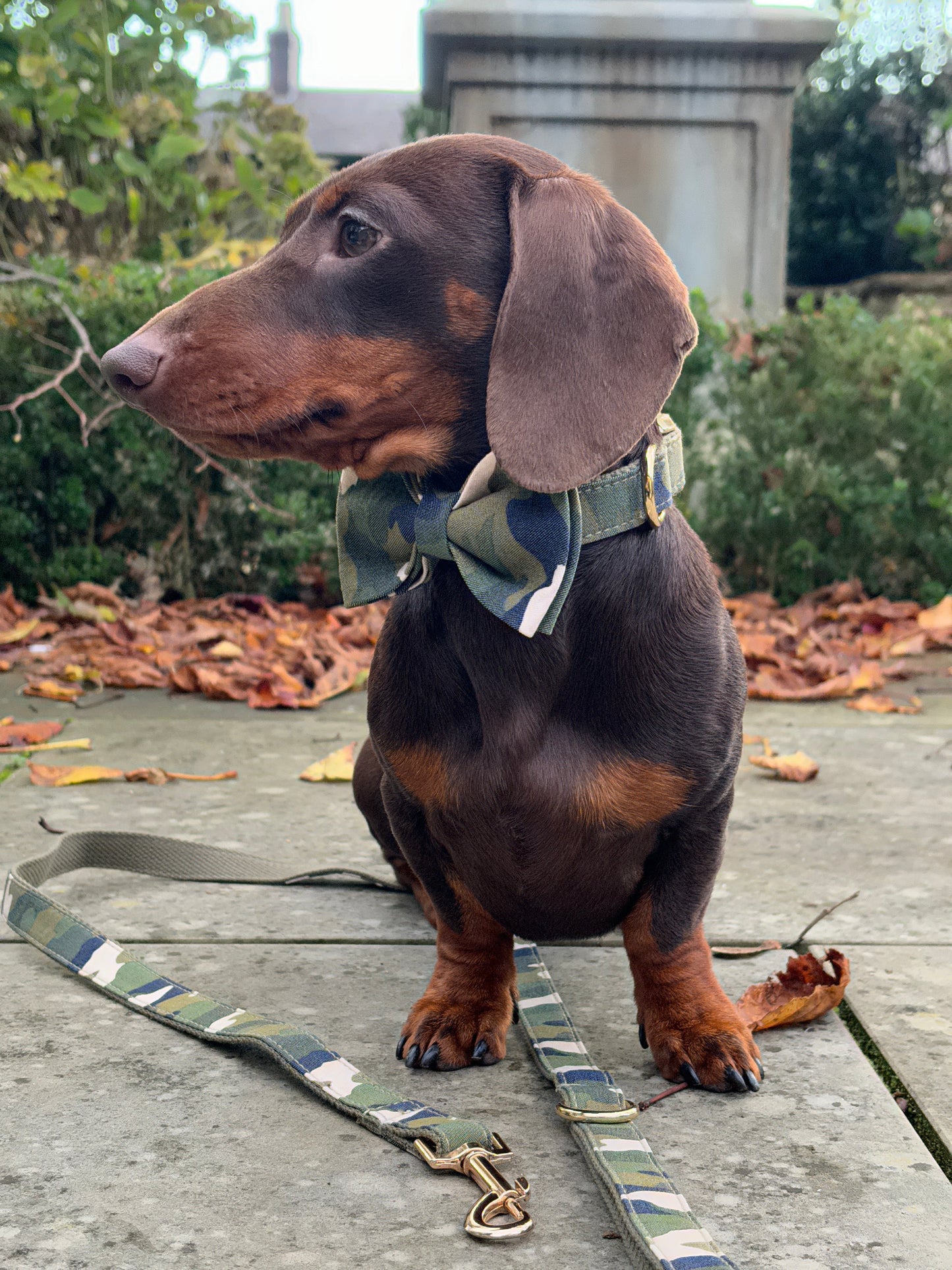 Camouflage Bow