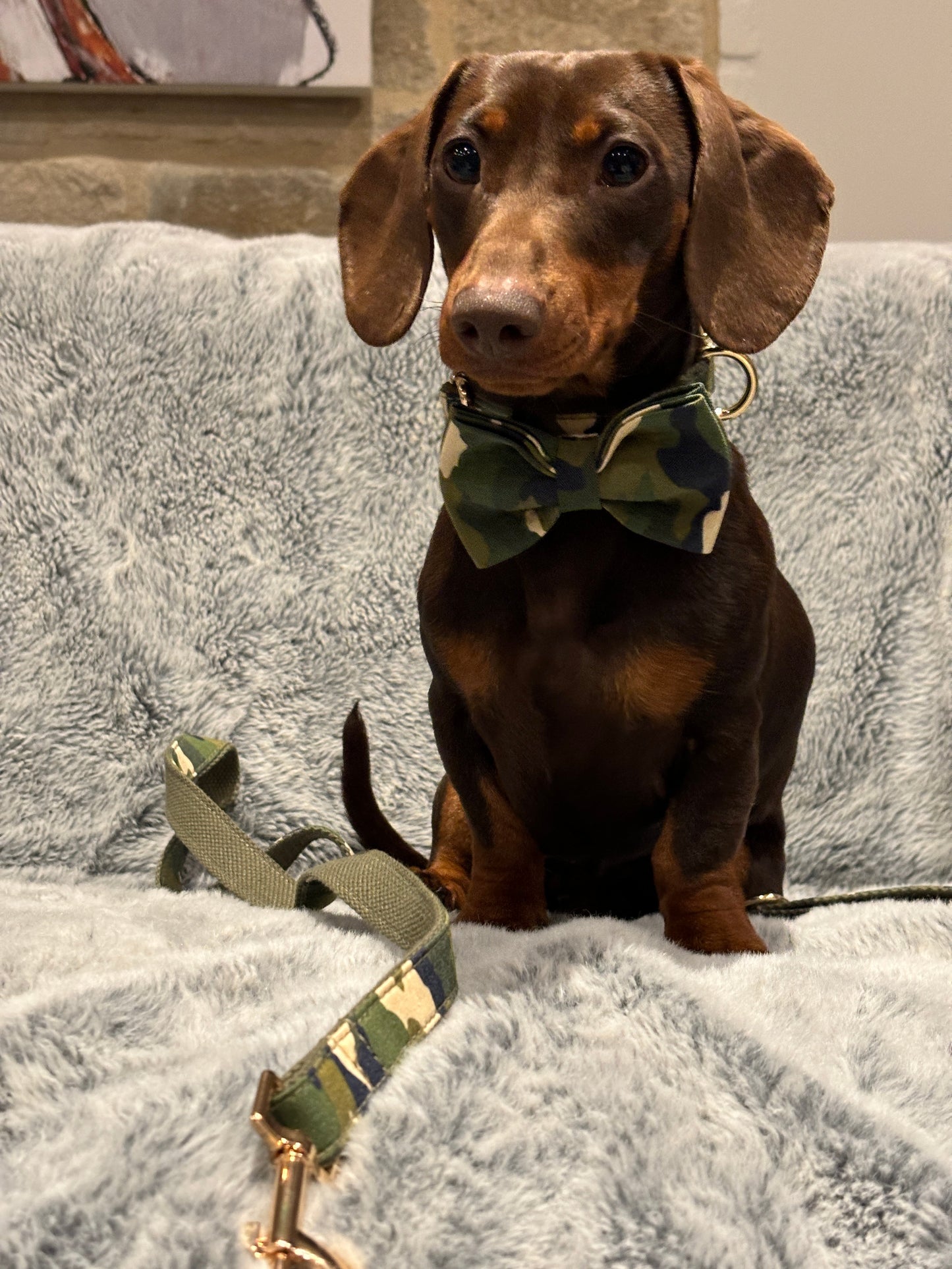 Camouflage Bow