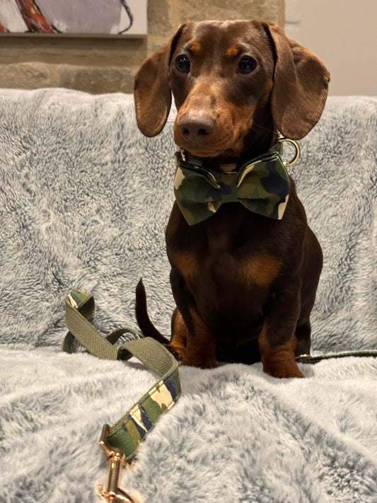 Camouflage Bow
